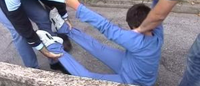 Interrogazione parlamentare sul caso della mamma di Padova Bambino conteso