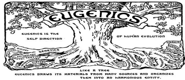 Psichiatria eugenetica e Shoah