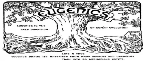 Psichiatria eugenetica e Shoah