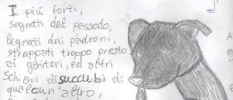 Padova: ragazza scappa dalla comunità. Non si sa dove sia